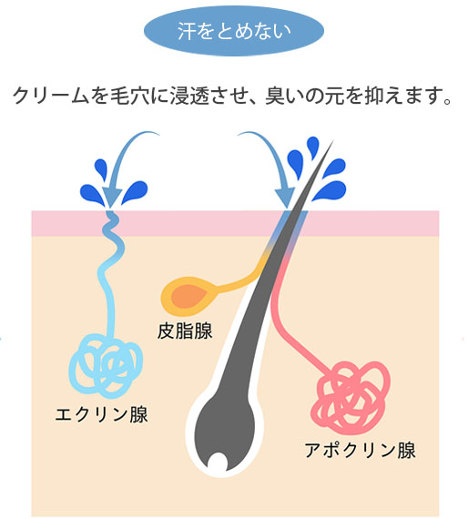 ラヴィリン ハラヴィン社製品